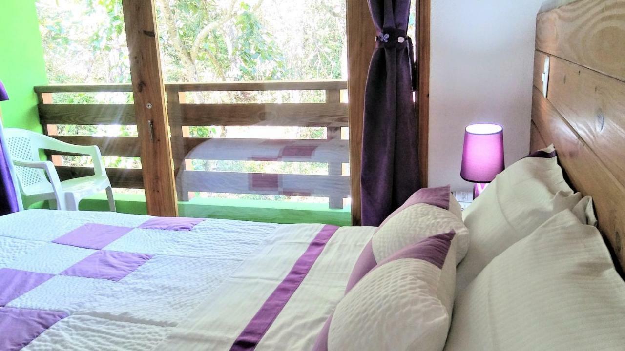 Cat-B&B Mi Hogar Jarabacoa Bagian luar foto