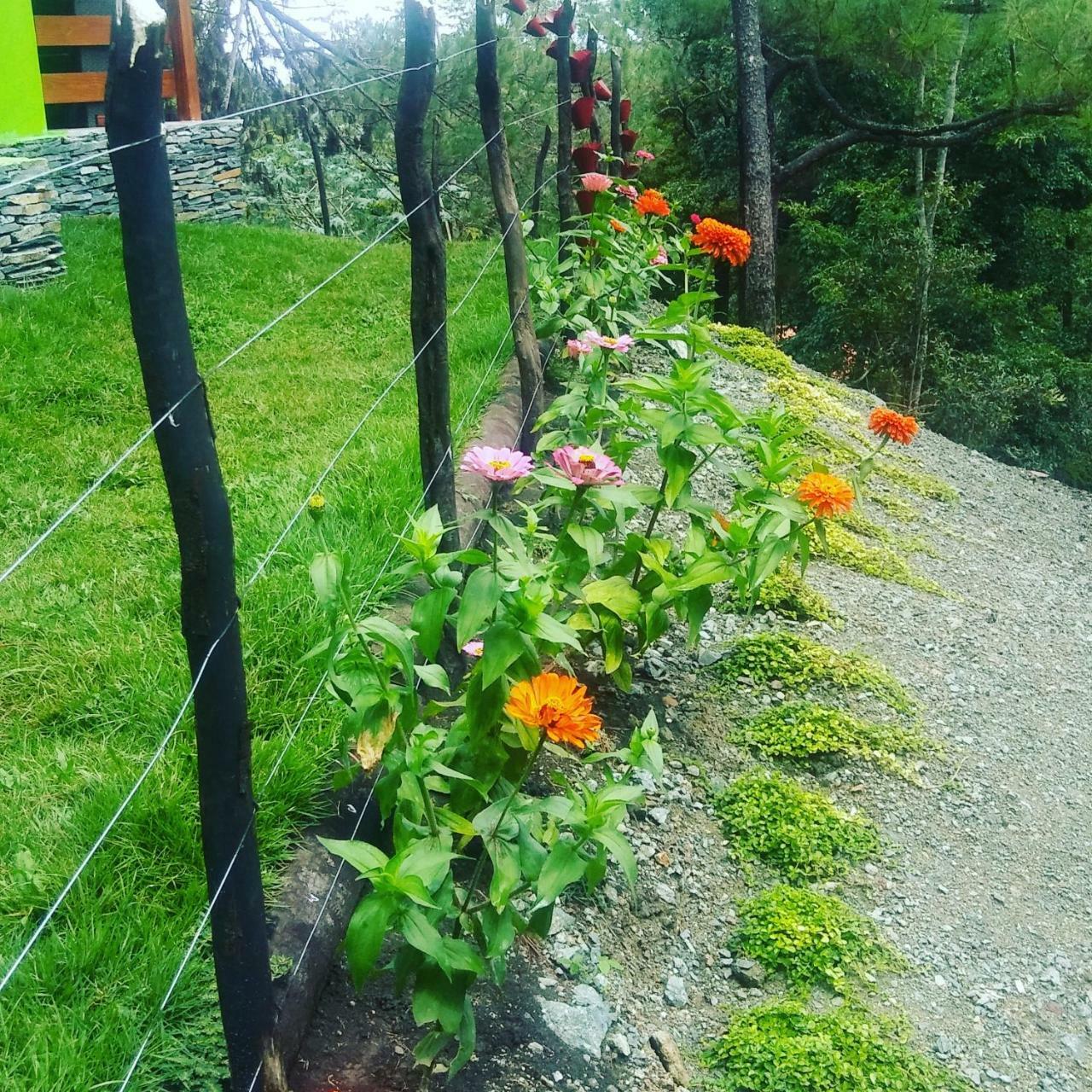 Cat-B&B Mi Hogar Jarabacoa Bagian luar foto