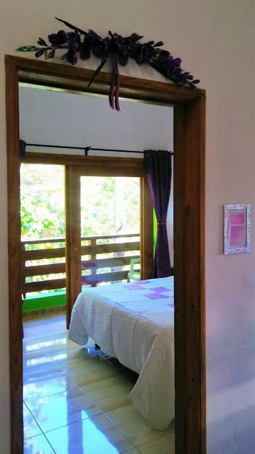 Cat-B&B Mi Hogar Jarabacoa Bagian luar foto